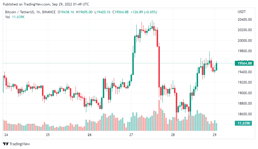 gia-coin-hom-nay-29-09