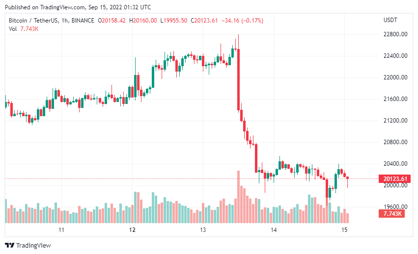 gia-coin-hom-nay-15-09
