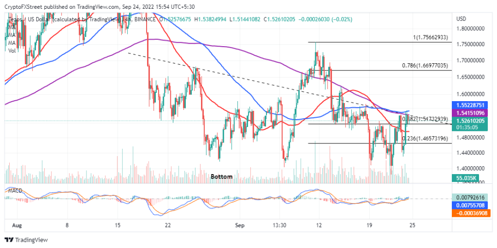 Phe gấu tiếp quản XTZ