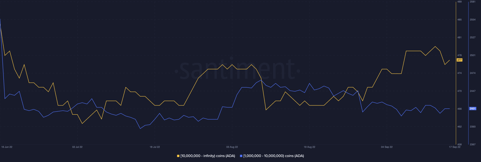ADA có khả năng phục hồi trước sự kiện hard fork Vasil?