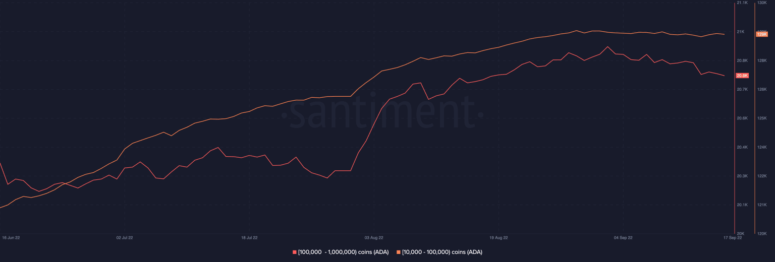 ADA có khả năng phục hồi trước sự kiện hard fork Vasil?