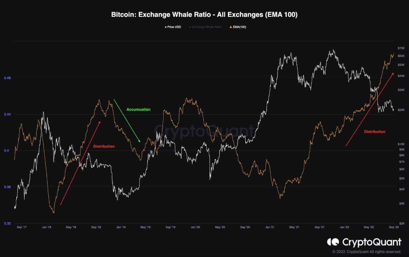 btc-phuc-hoi