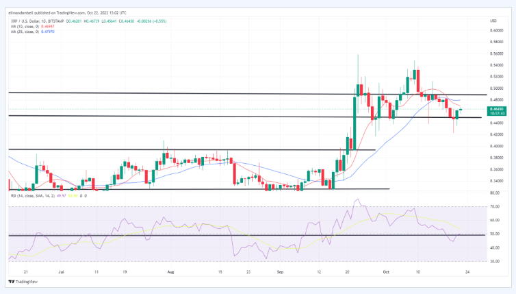 gia-coin-hom-nay-23-10