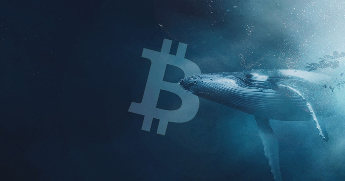 tin-van-crypto-21-10
