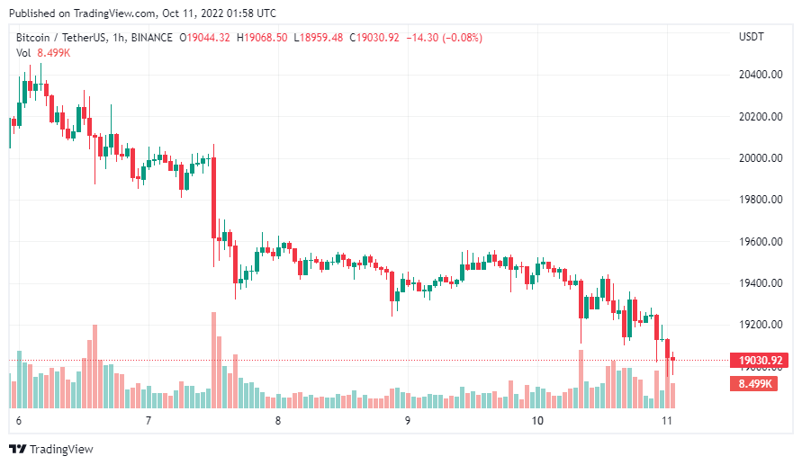 gia-coin-hom-nay-11-10