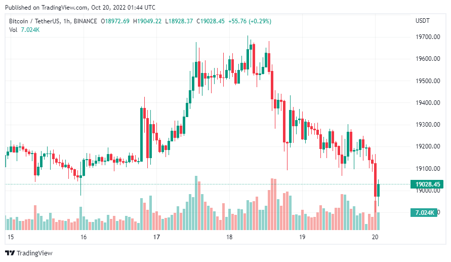 gia-coin-hom-nay-20-10
