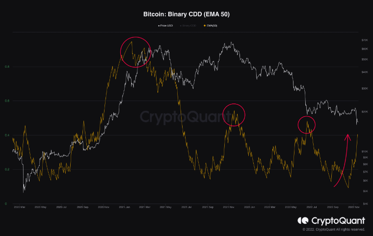 gia-coin-hom-nay-14-11