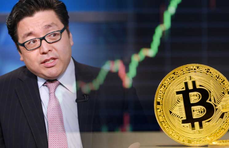tin-van-crypto-26-11