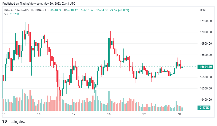gia-coin-hom-nay-20-11