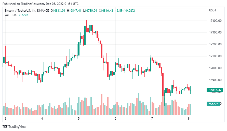 gia-coin-hom-nay-08-12