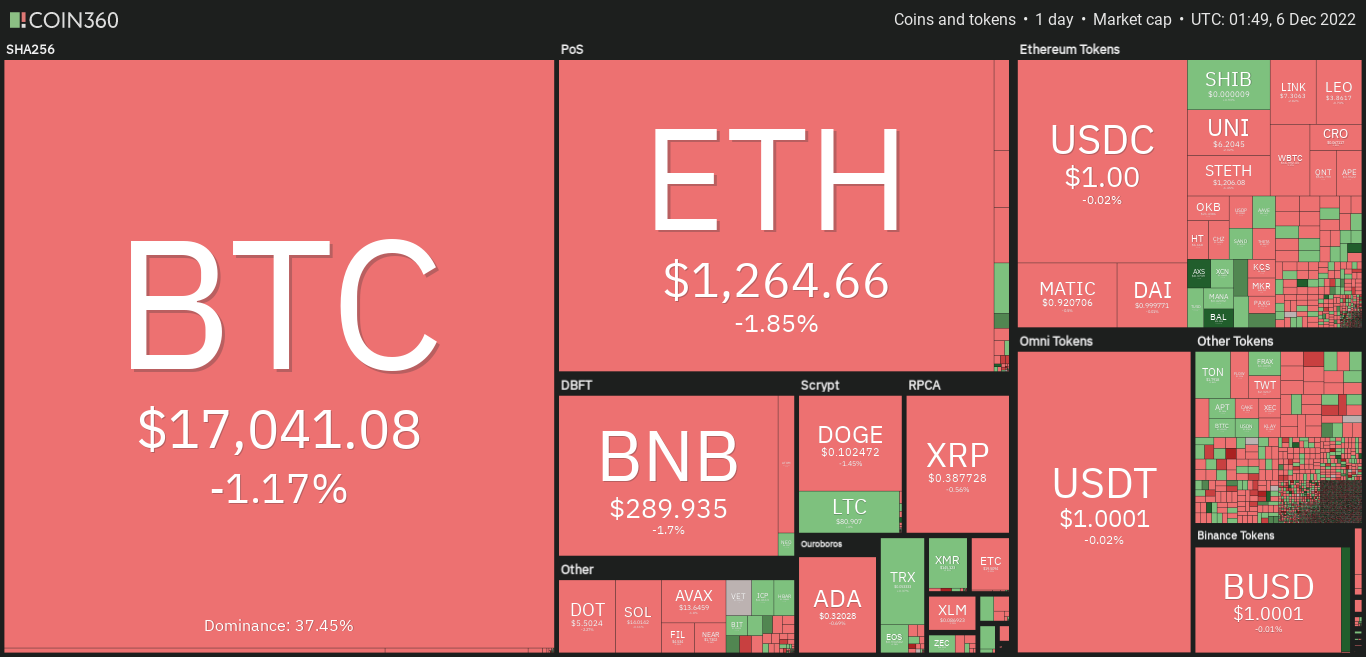 gia-coin-hom-nay-06-12