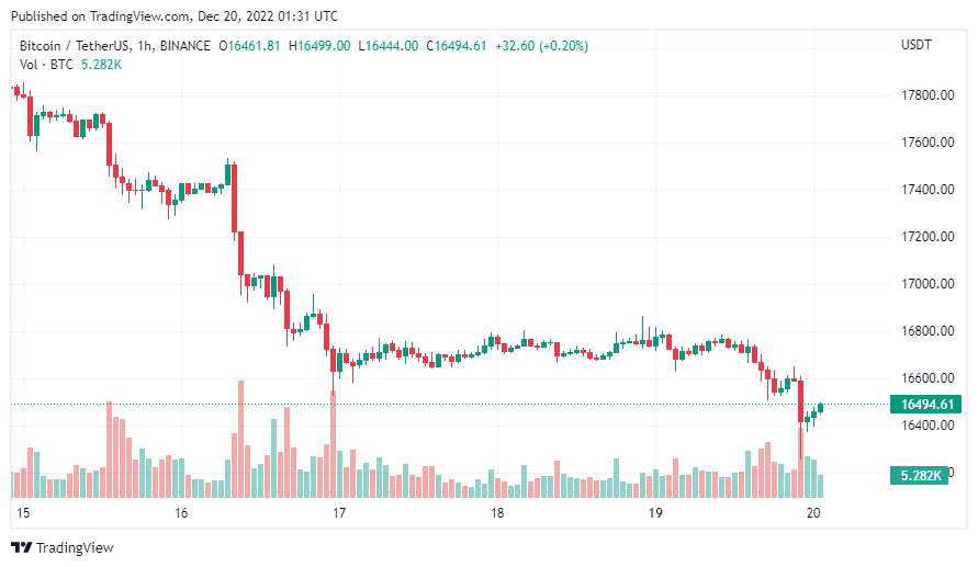 gia-coin-hom-nay-20-12
