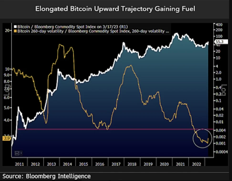 Mike McGlone Bitcoin sieu chu ky