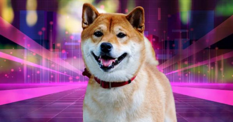 Chi tiet metaverse Shiba Inu duoc tiet lo