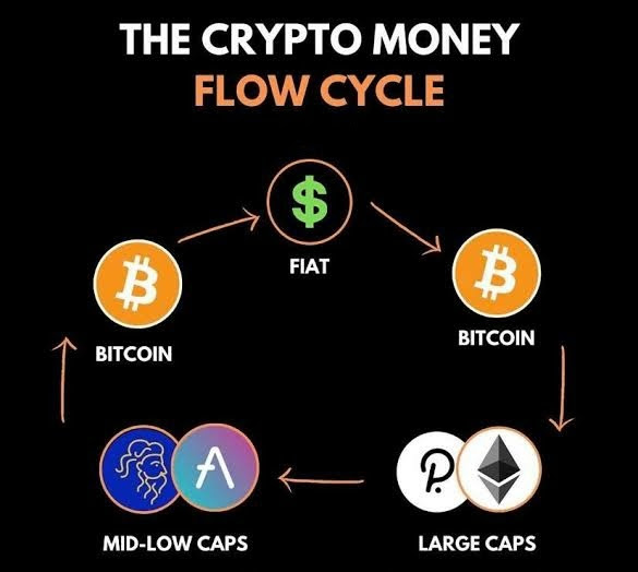  Sự không chắc chắn trong chu kỳ tiền điện tử từ Memecoin & NFT 