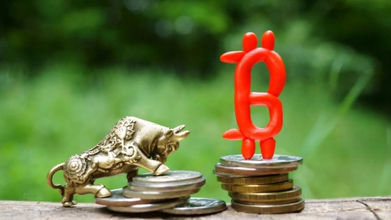 Tạp chí crypto hàng đầu Việt Nam