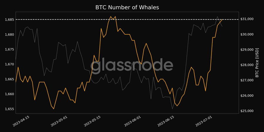 Tổ chức tăng cường tích lũy Bitcoin khi các sàn giao dịch thấy số dư giảm