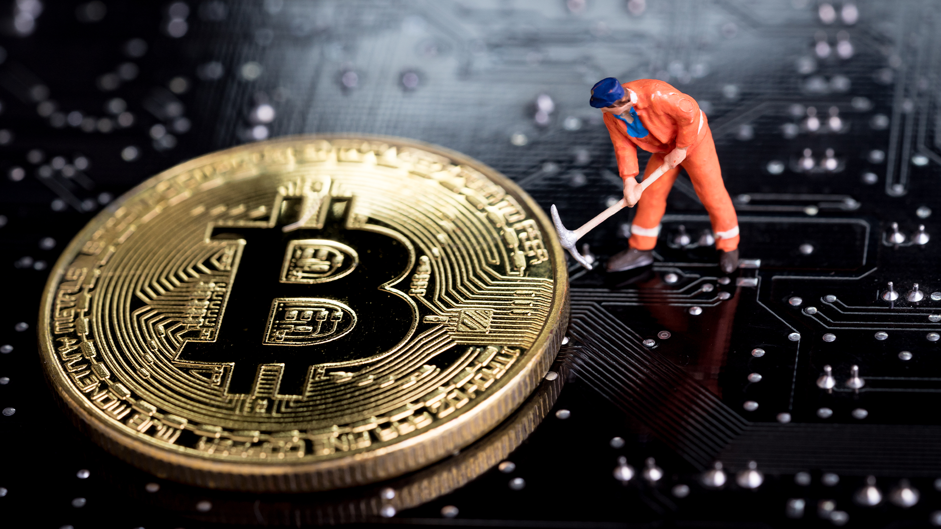 Tạp chí crypto hàng đầu Việt Nam