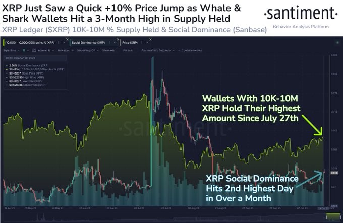 XRP 