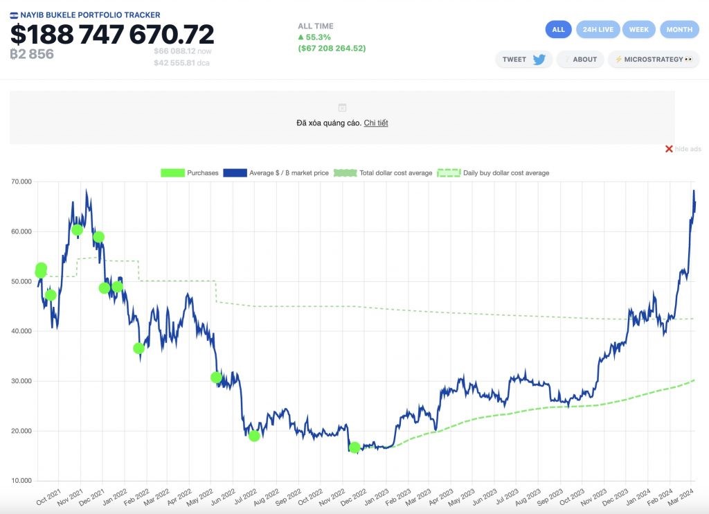bitcoin