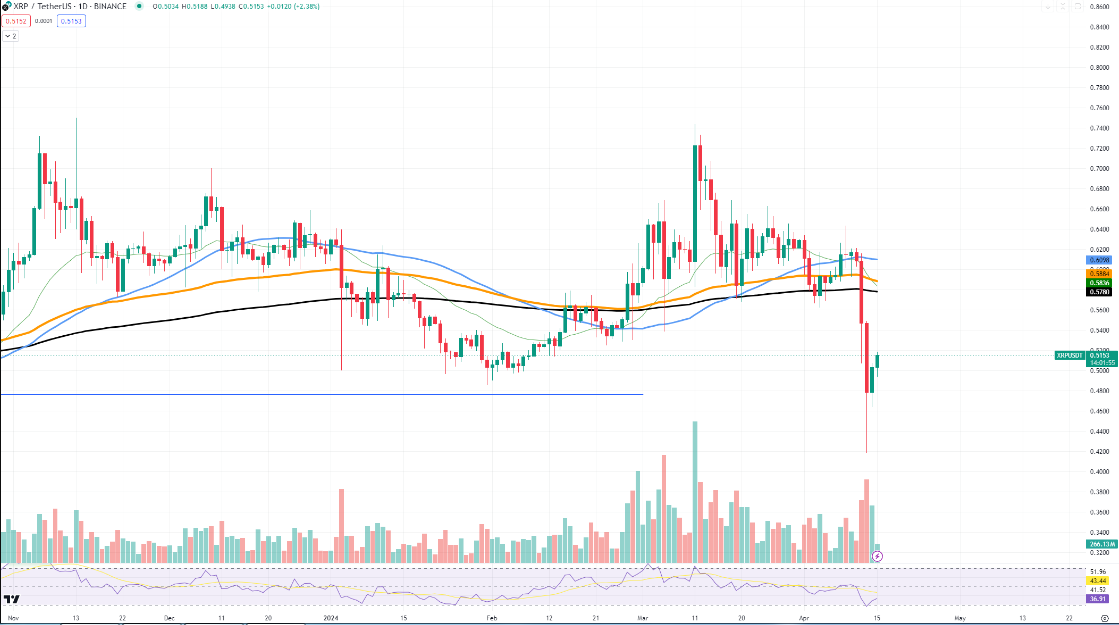 xrp ripple