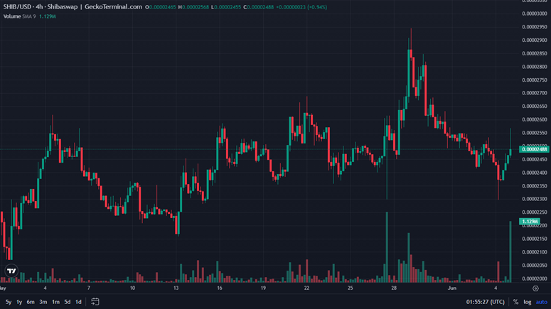 memecoin