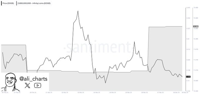 Dogecoin doge