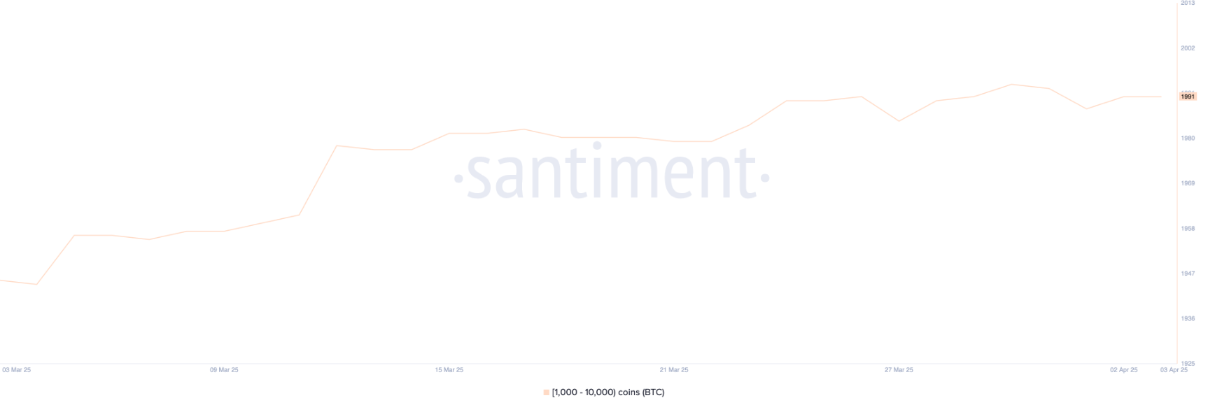 btc-ca-voi