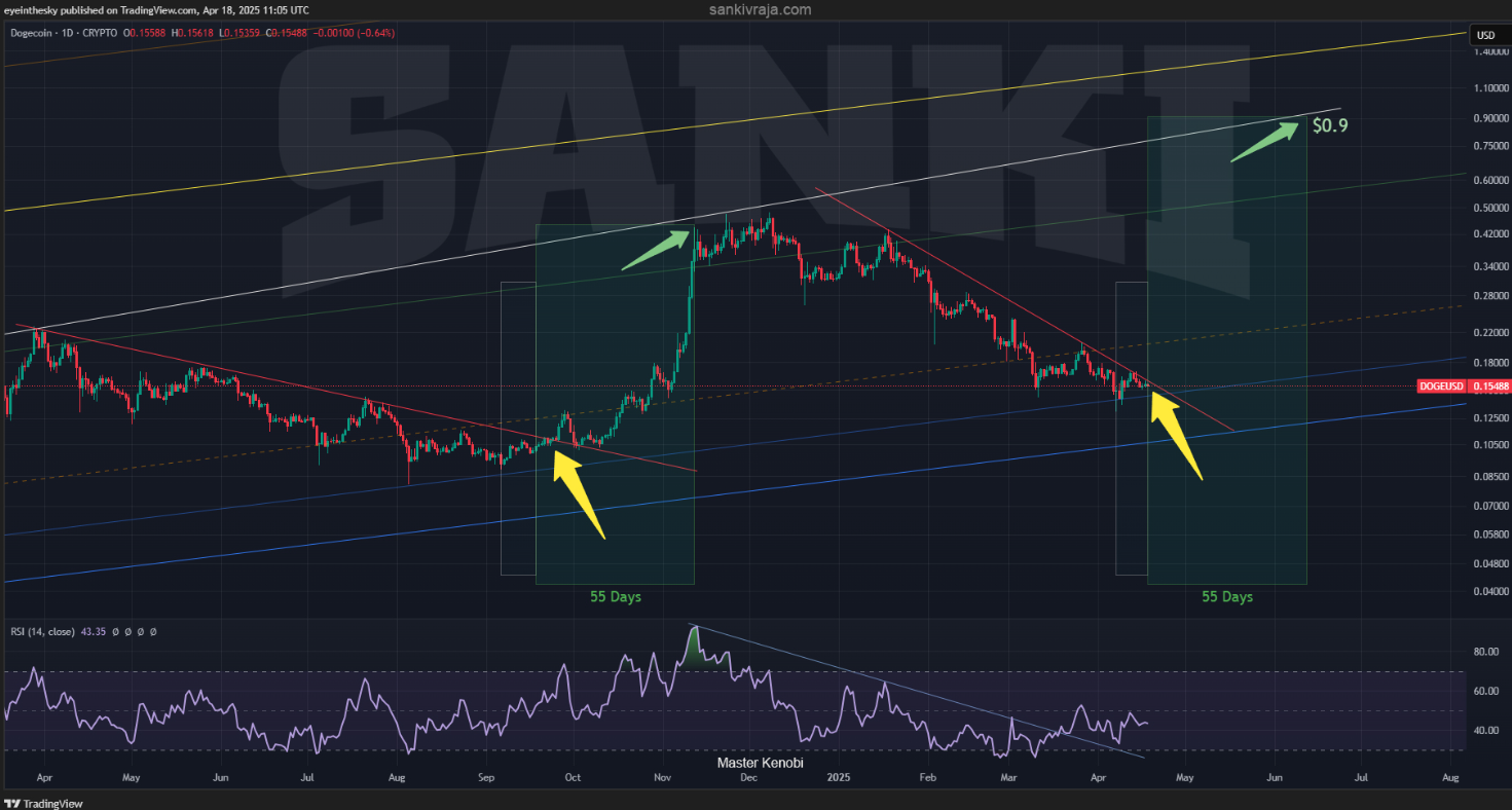 doge-coin-tang2
