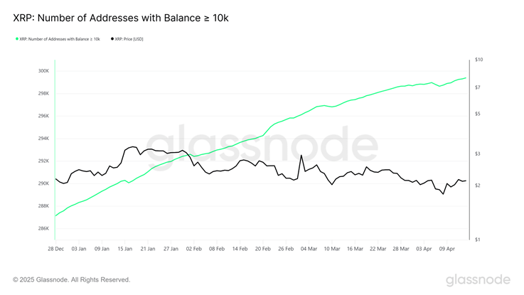 xrp