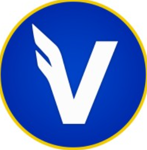 Valkyrie Investments