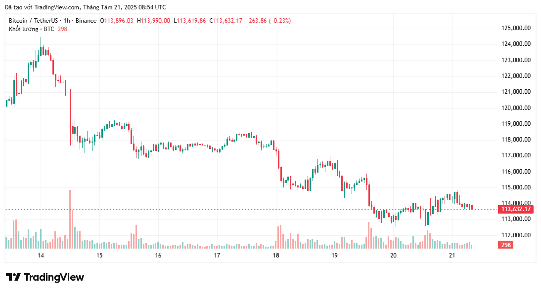 Chu kỳ 4 năm của Bitcoin có thể chưa chết