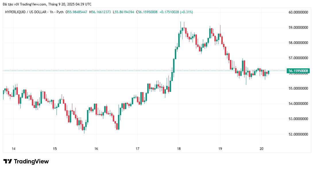 Top altcoin có khả năng bùng nổ nhất trong quý 4