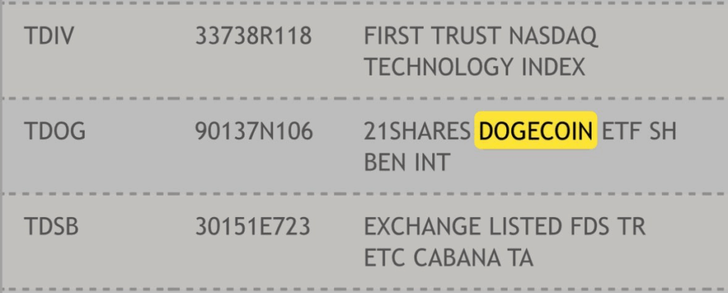 Liệu giá Dogecoin có bùng nổ khi TDOG của 21Shares được chấp thuận?