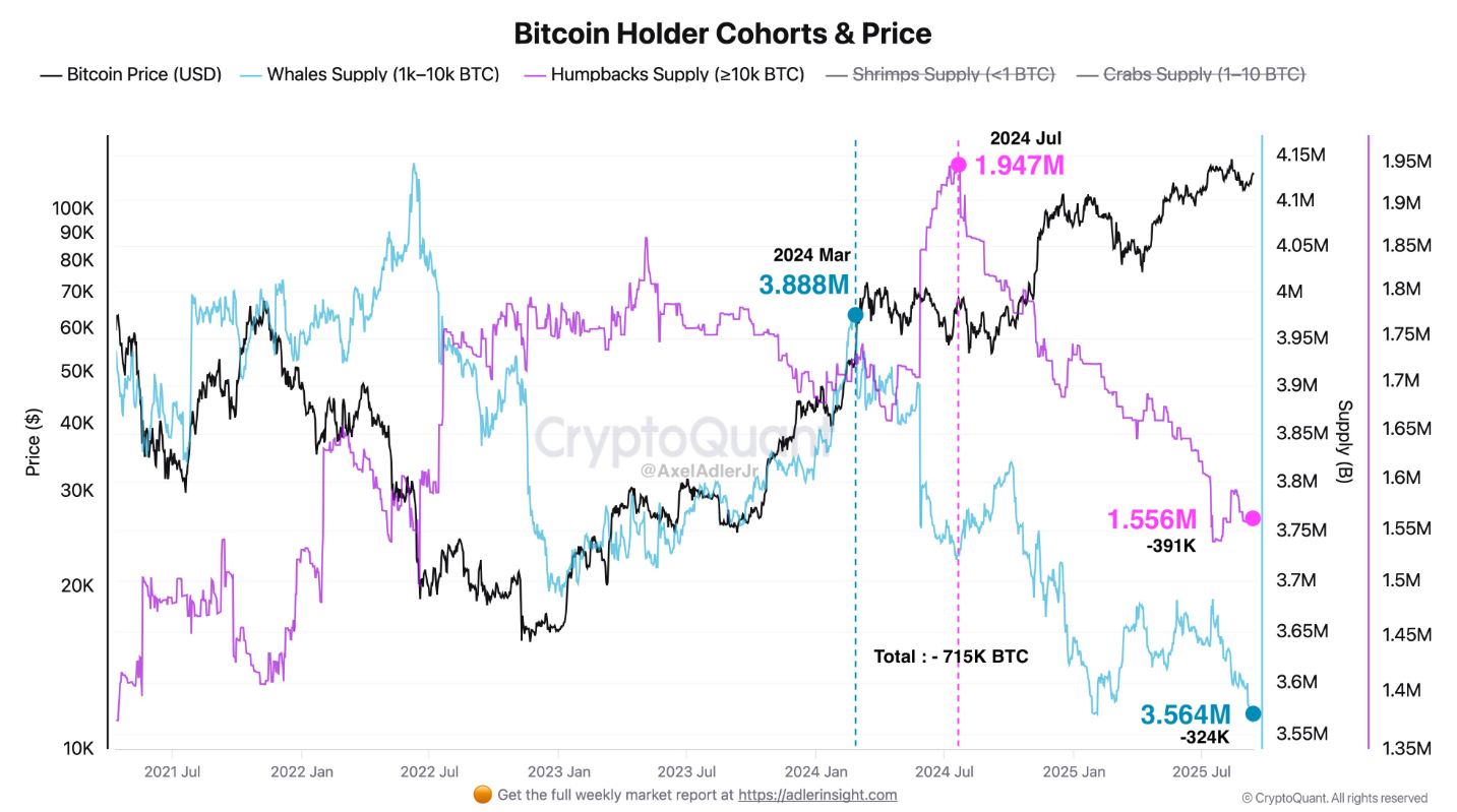 Giá Bitcoin xuống 113.000 đô la có thể là mức giảm giá lớn cuối cùng trước khi đạt mức cao mới