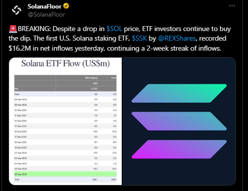 Giá Solana có thể đạt 400 đô la khi nhu cầu ETF tăng?