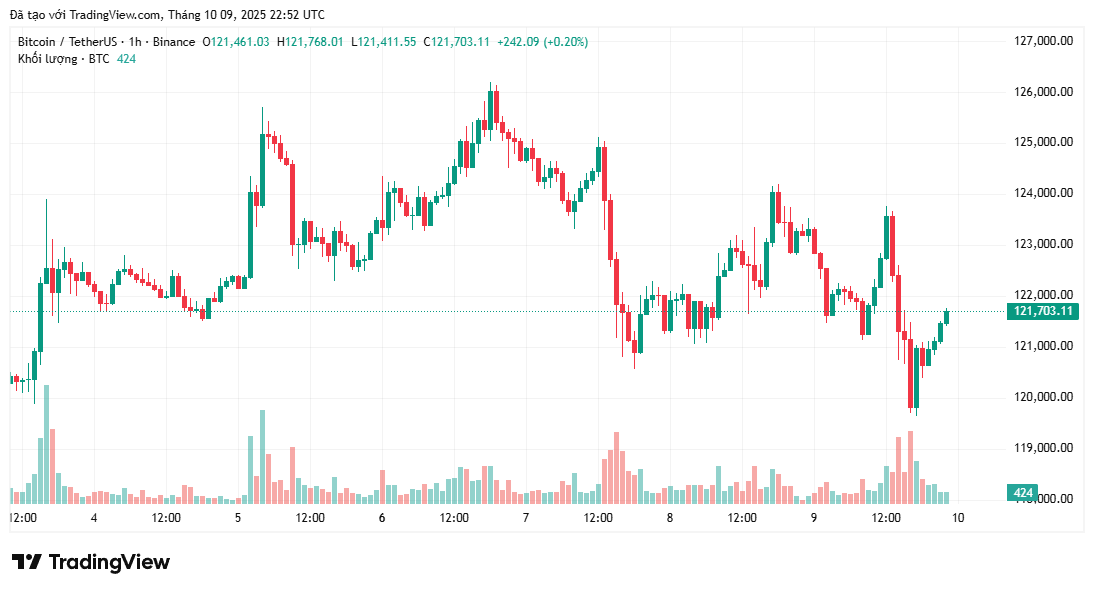 Bitcoin giảm xuống dưới 120.000 đô la kích hoạt cảnh báo về khả năng giảm thêm 10%