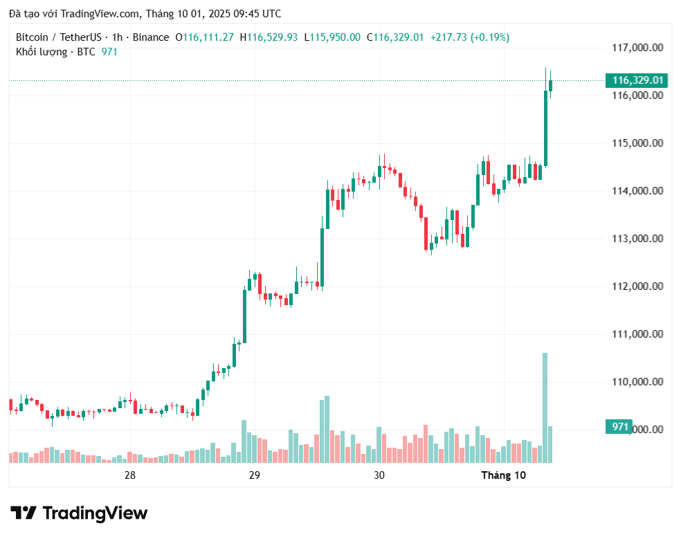 CryptoQuant đưa ra chỉ báo quan trọng của Bitcoin trong tuần tới