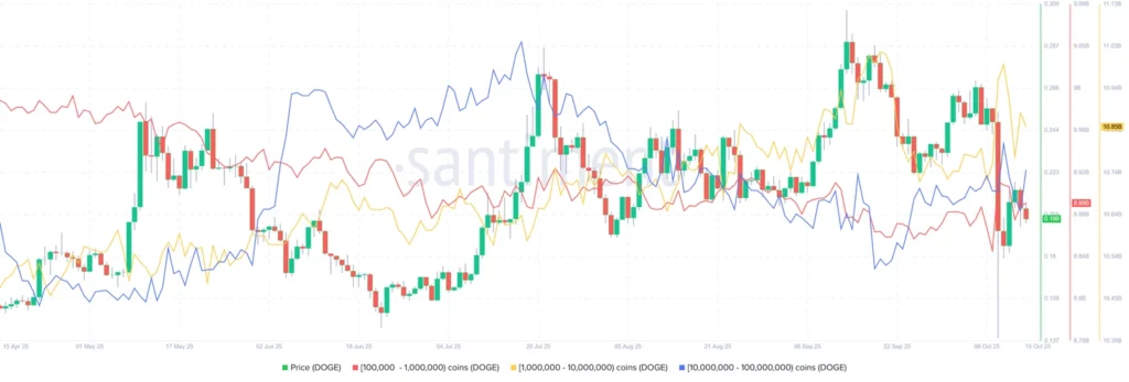 Lịch sử cho thấy DOGE đang chuẩn bị cho đợt tăng giá 251%