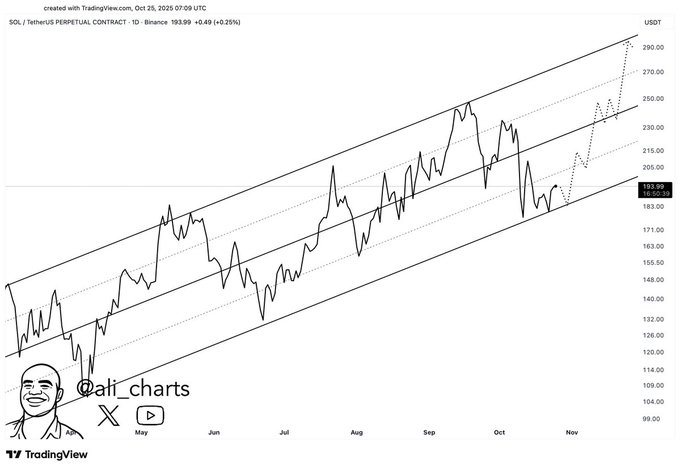 Giá Solana chạm mốc 200 đô la khi 47 triệu đô la lệnh short bị thanh lý