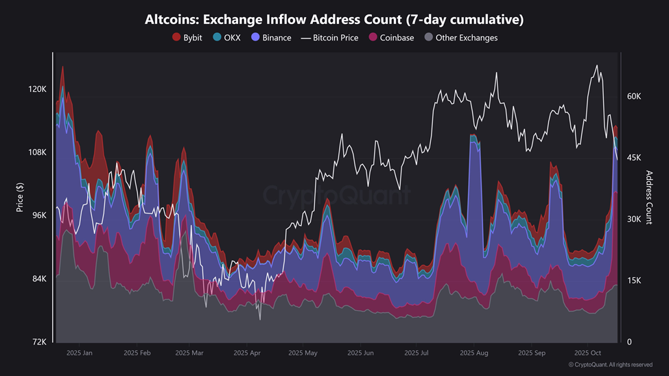 Mùa altcoin đã đến chưa? Sự thống trị của Bitcoin cho thấy điều ngược lại