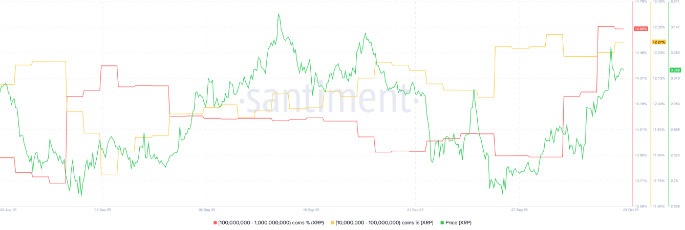 xrp-tang