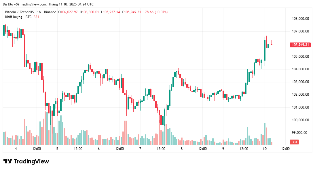Bitcoin, Altcoin và tương lai của thị trường tiền điện tử