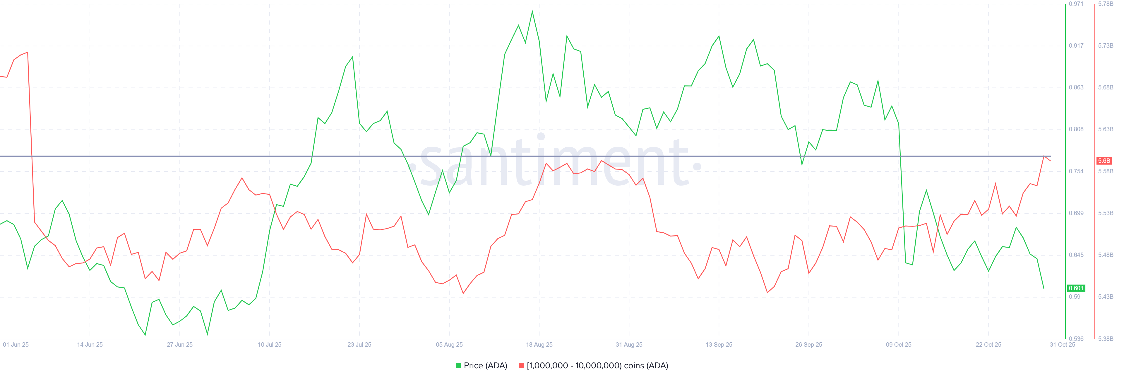 Lượng ADA do cá voi nắm giữ tăng lên mức cao nhất trong 5 tháng ngay cả khi giá giảm xuống còn 0,6 đô la