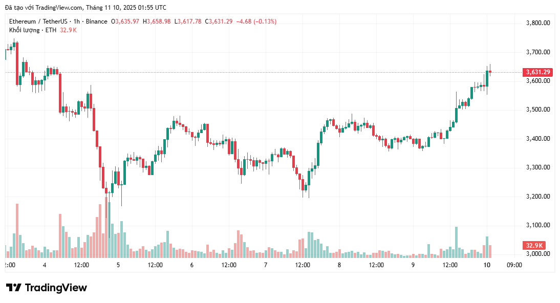 Ethereum cho thấy dấu hiệu phục hồi sau đợt bán tháo ồ ạt