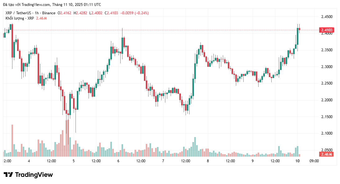 Lợi nhuận và nhà đầu tư mới XRP giảm – Giá sắp điều chỉnh?