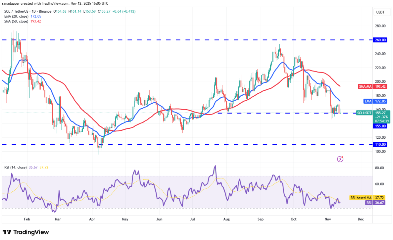 ngay-13-11-phan-tich