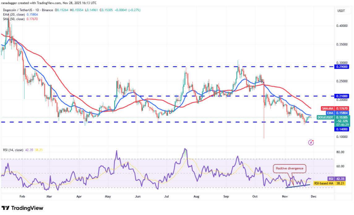 ngay-19-11-phan-tich