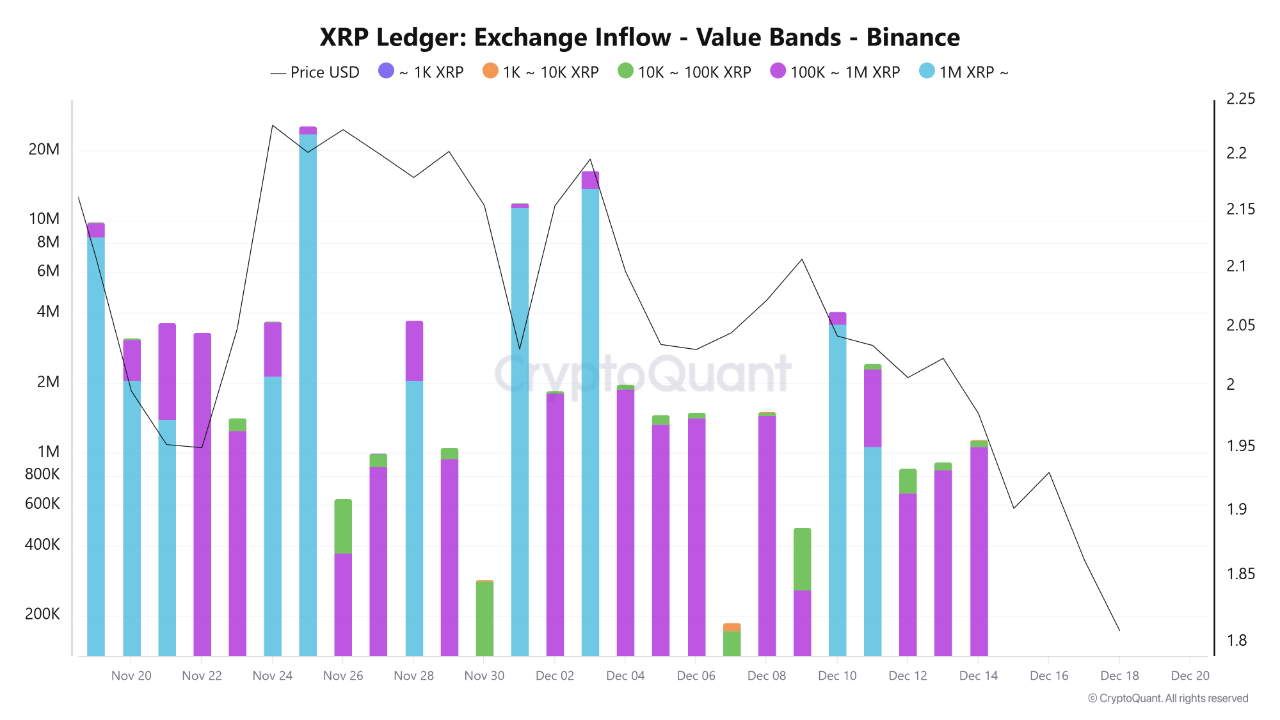Áp lực bán phủ bóng XRP dù ETF ra mắt, cá voi bị nghi tranh thủ chốt lời