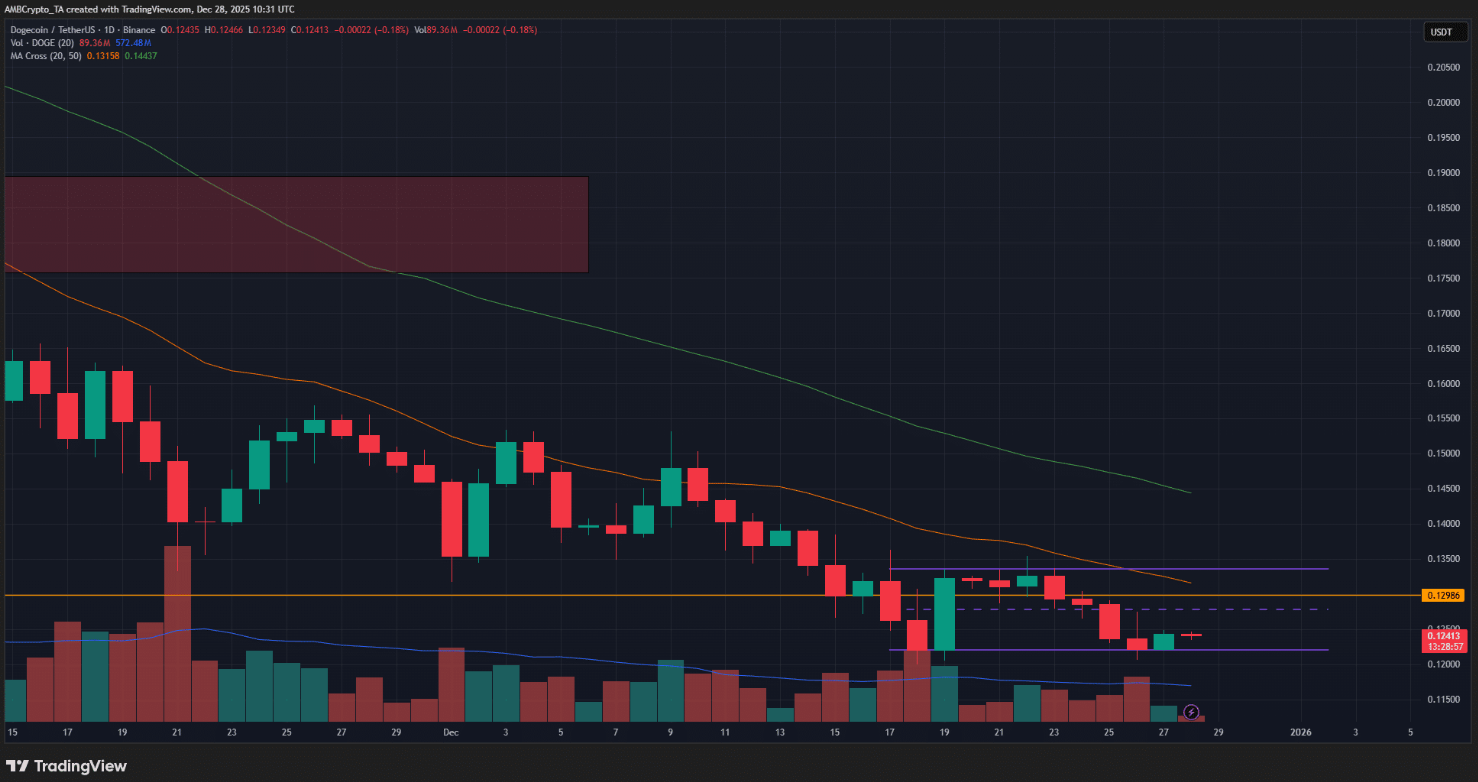 Dogecoin được chú ý trở lại, nhưng giá còn yếu: Mốc kỹ thuật nào đang quyết định xu hướng?